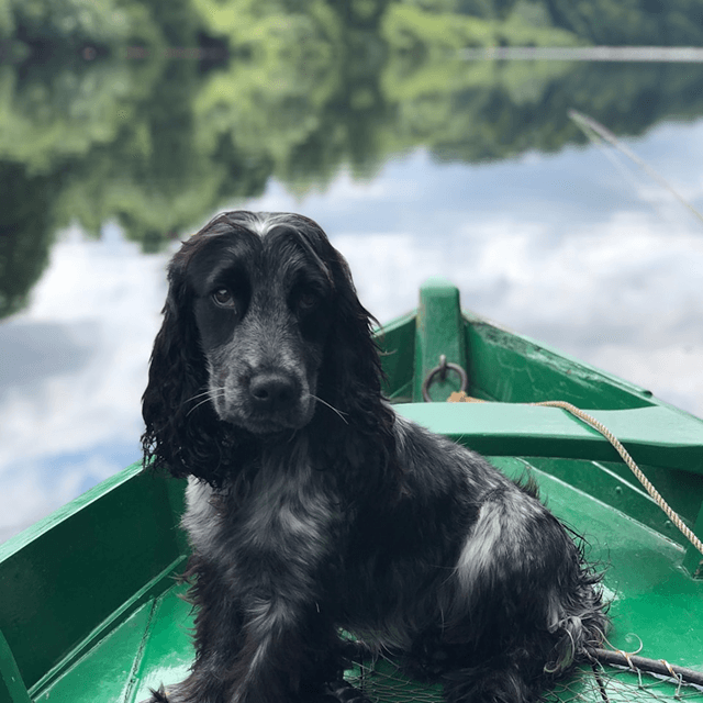 Profile picture of Kim L., Cohorty user